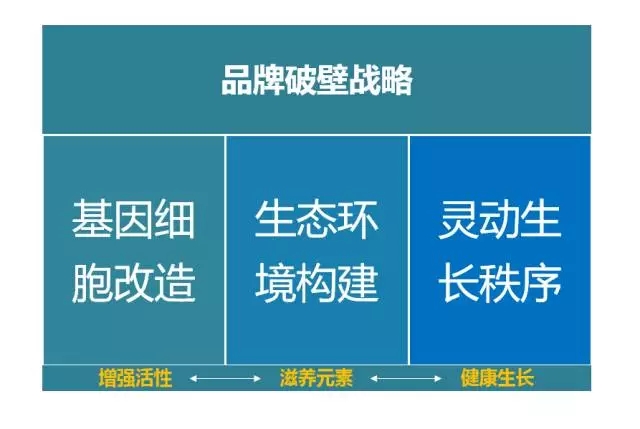 品牌升級(jí)必看的四大策略！