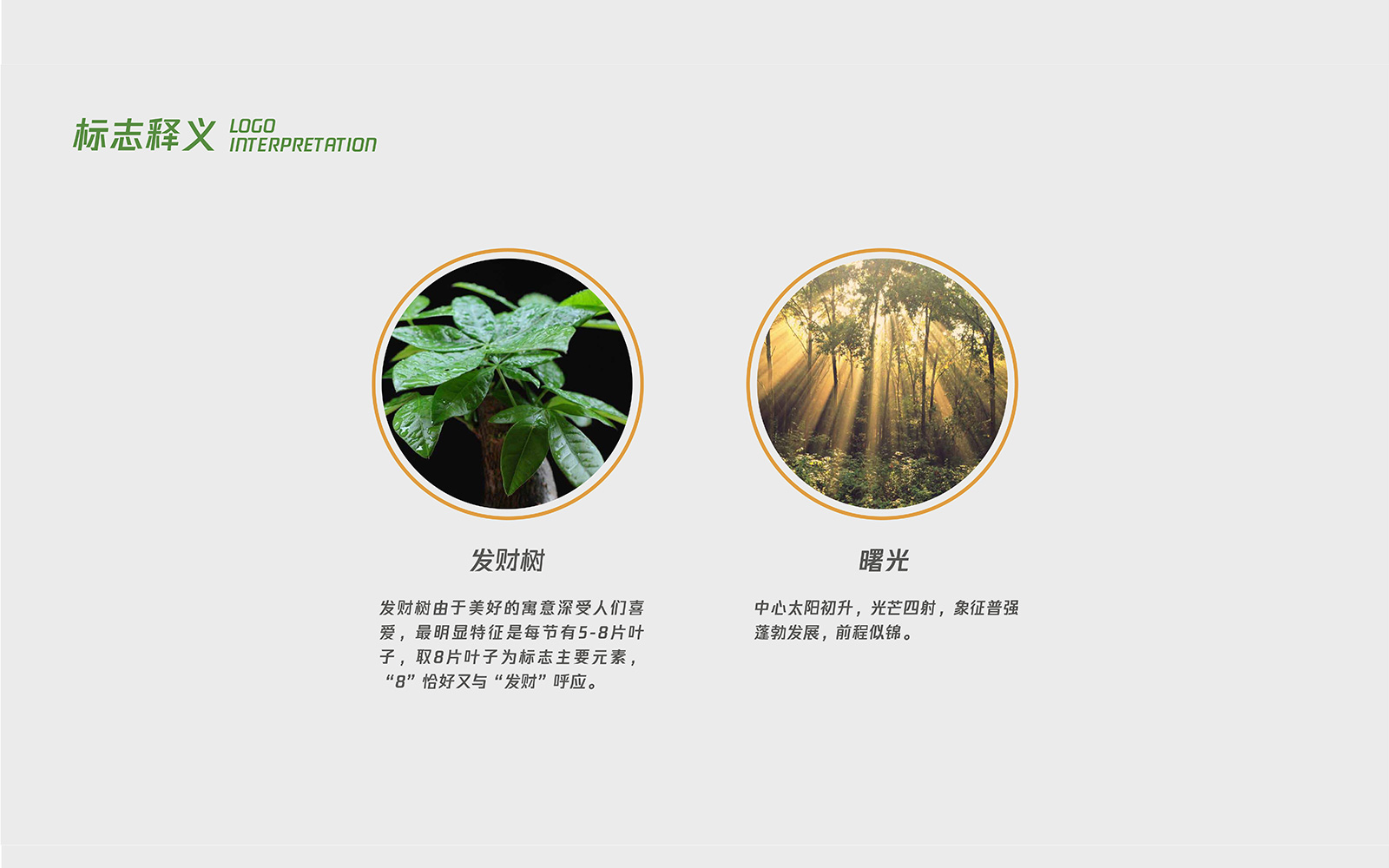 杭州VI設(shè)計(jì)公司越來越受歡迎